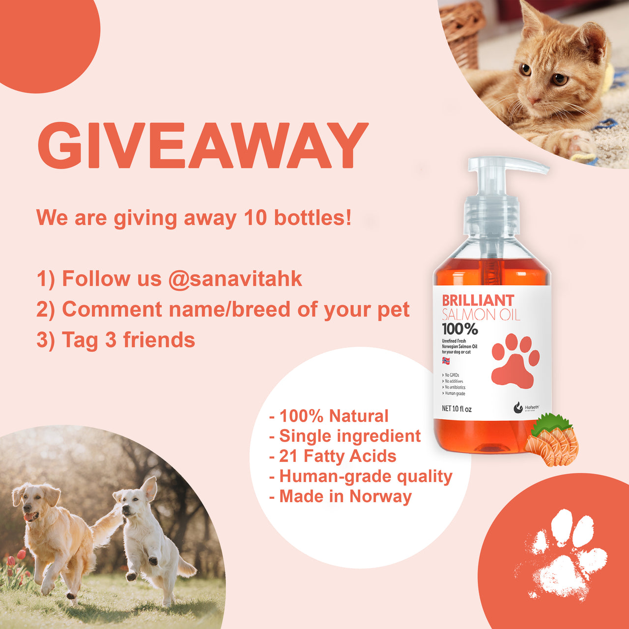 Brilliant Salmon Oil Giveaway!